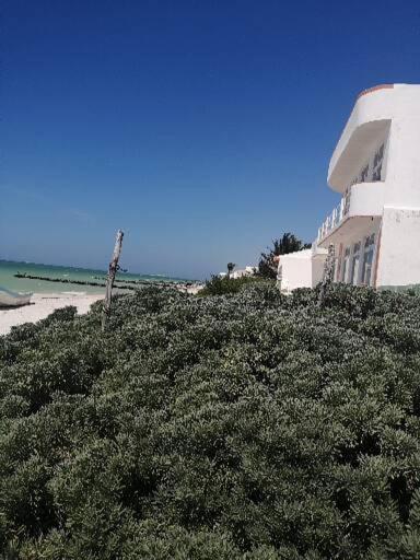 Apartamento 4 El Paraiso De Capitan Fernando Apartment Chelem Ngoại thất bức ảnh